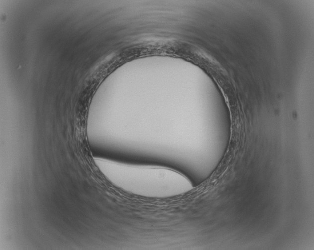 X0000080760869200612150931