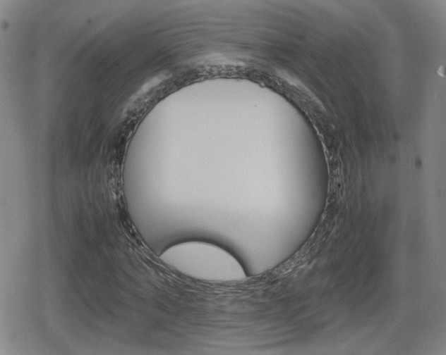 X0000080760870200612150931