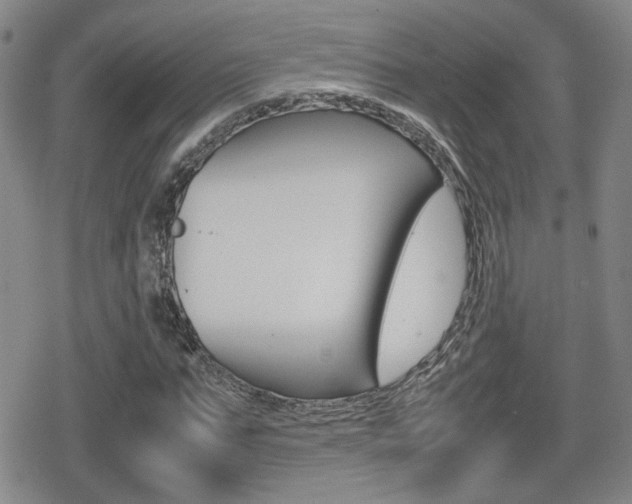 X0000080760871200612150931