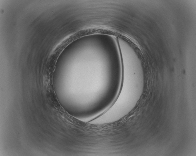 X0000080760872200612150931