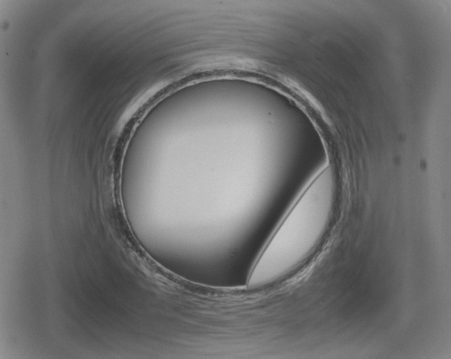 X0000080760877200612150931