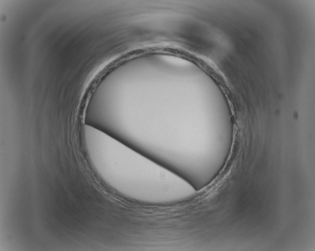 X0000080760879200612150931