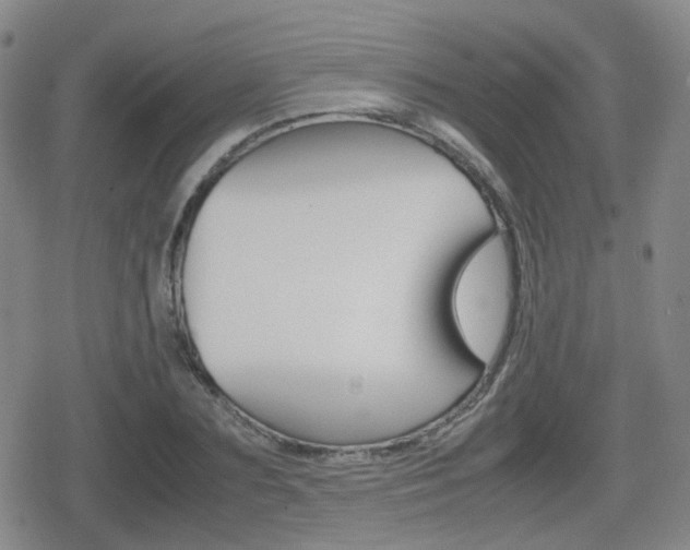 X0000080760883200612150931