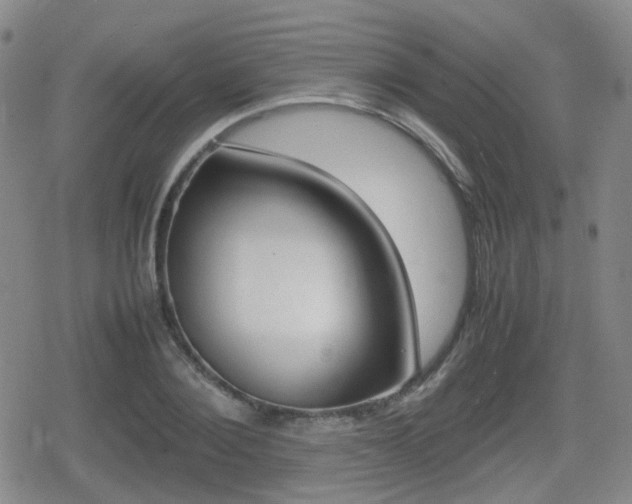 X0000080760884200612150931