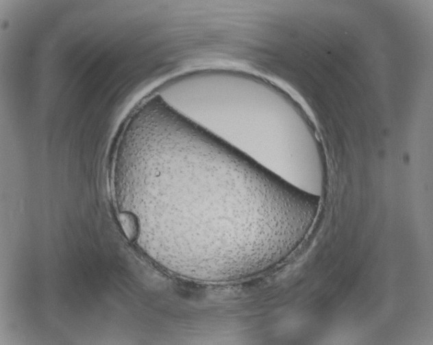 X0000080760887200612150931