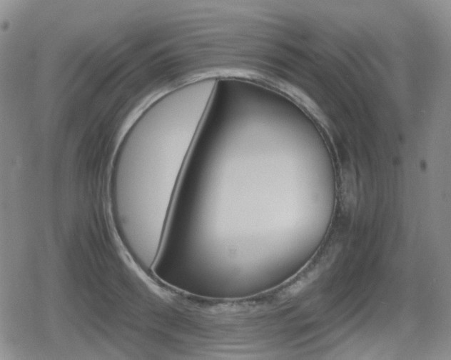 X0000080760898200612150931