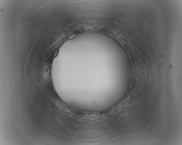 X0000080760914200612150930