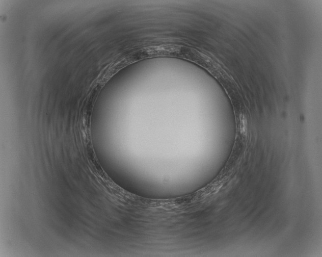 X0000080760915200612150930