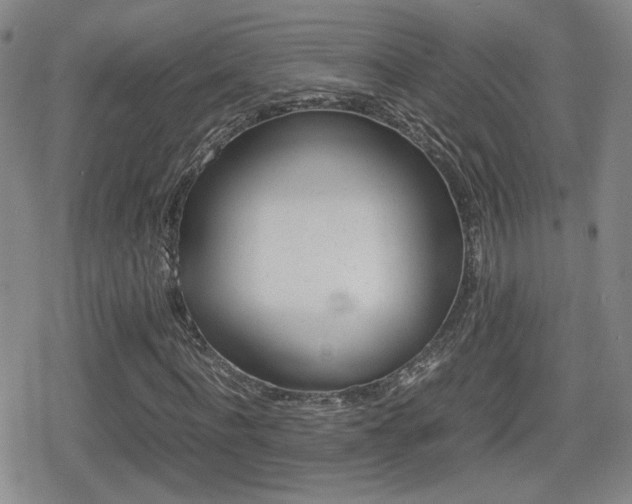 X0000080760916200612150930