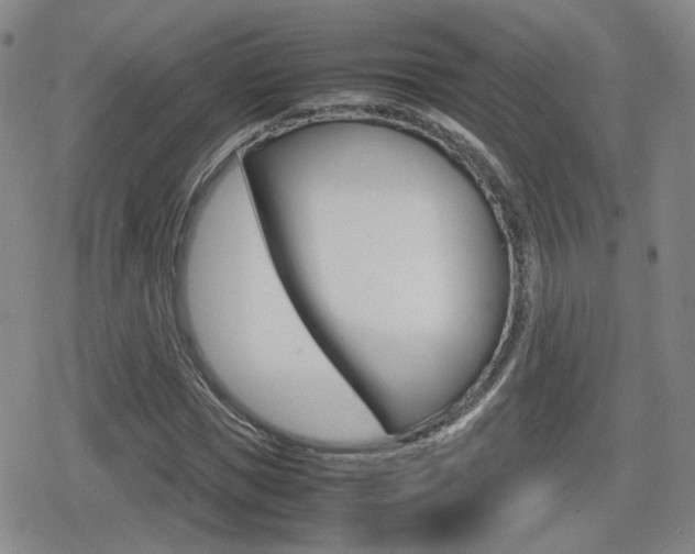 X0000080760921200612150930