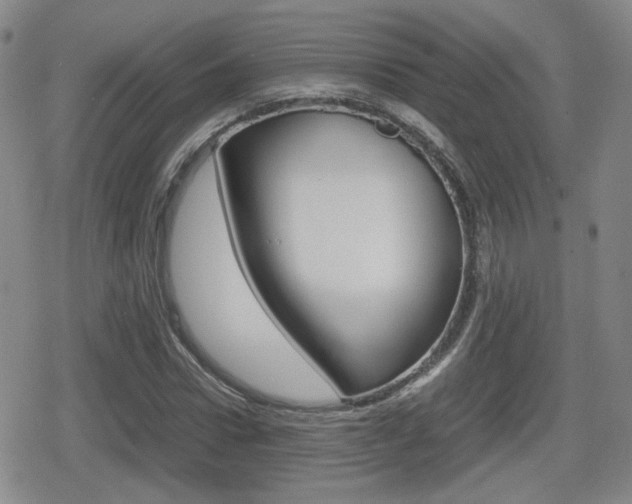 X0000080760922200612150930