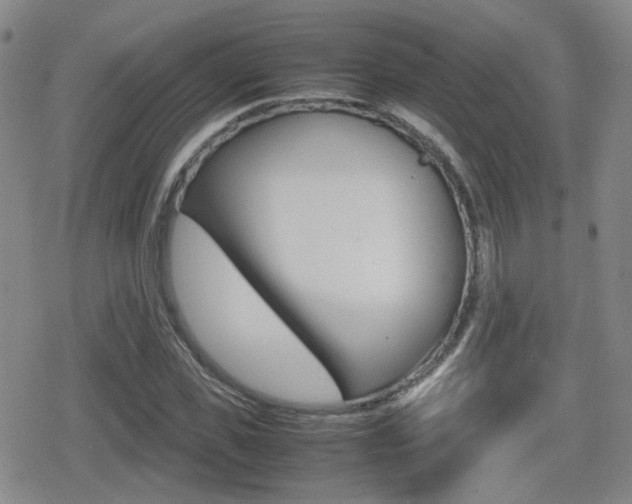 X0000080760925200612150930