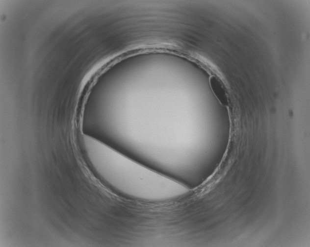 X0000080760928200612150930
