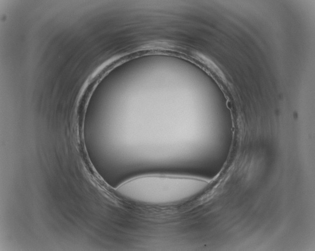 X0000080760931200612150930