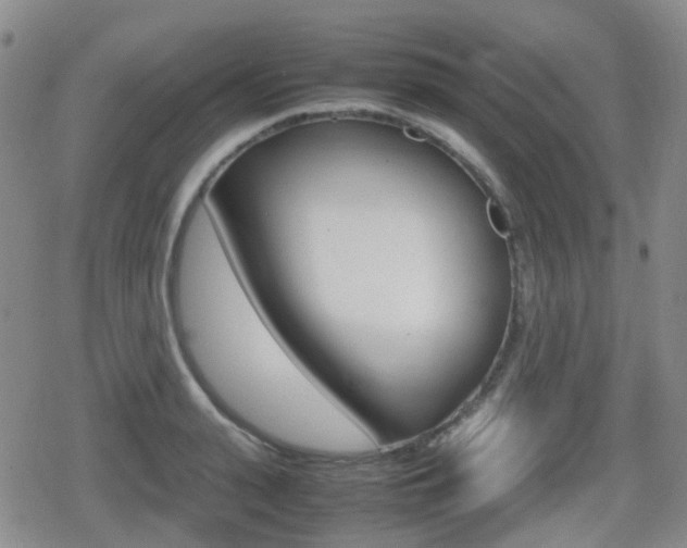 X0000080760943200612150930