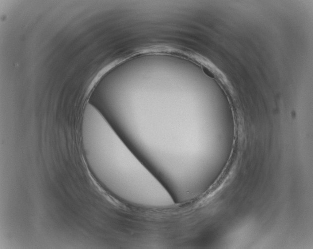 X0000080760945200612150930
