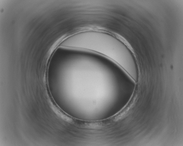 X0000080760946200612150930