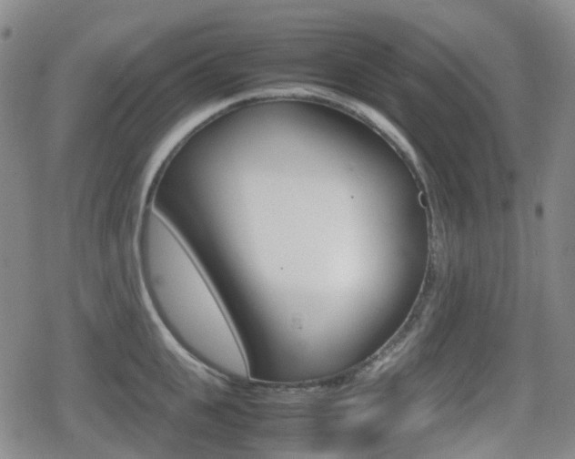 X0000080760951200612150930