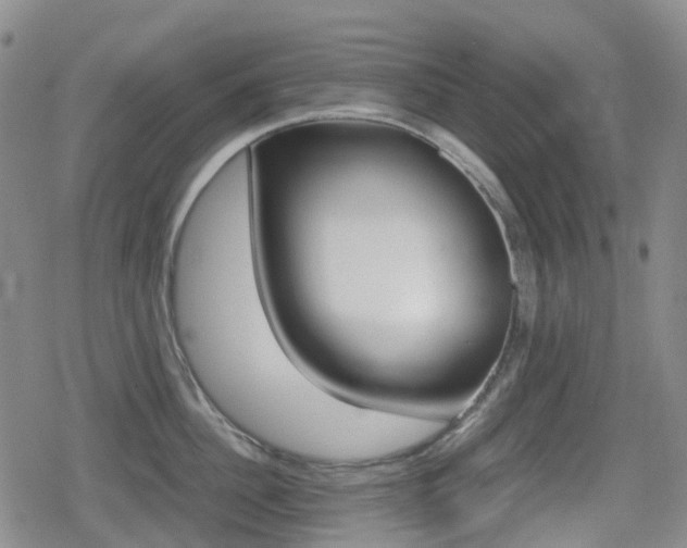 X0000080760956200612150931