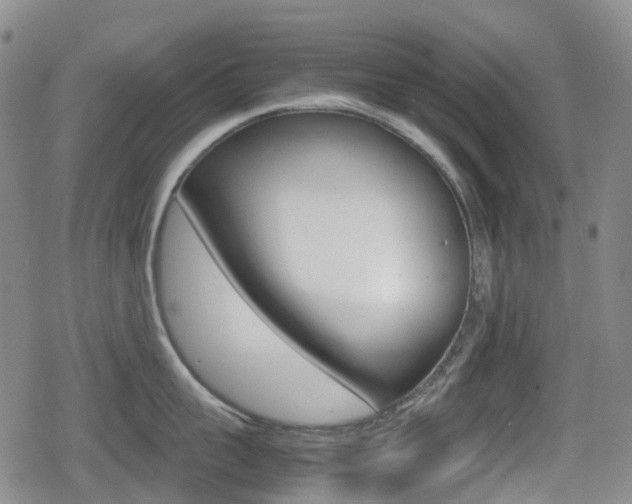 X0000080760959200612150931