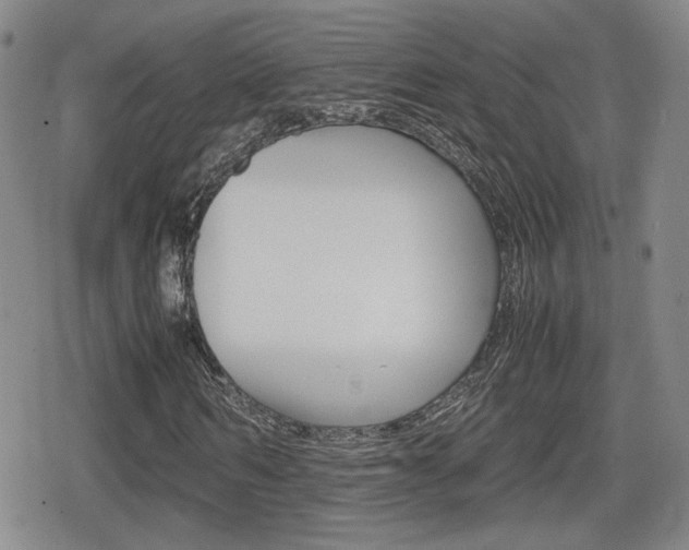 X0000080760962200612150930