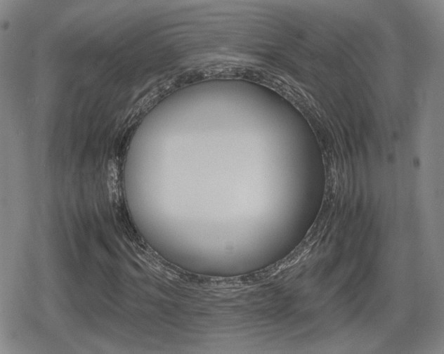 X0000080760964200612150930
