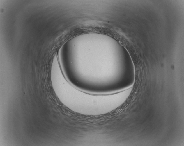 X0000080760965200612150930