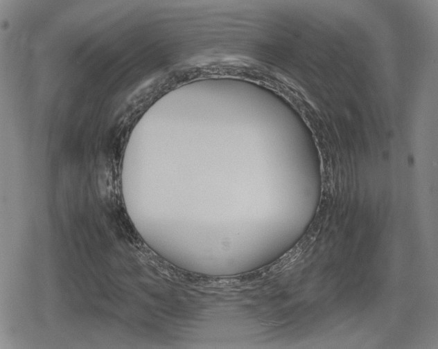 X0000080760966200612150930