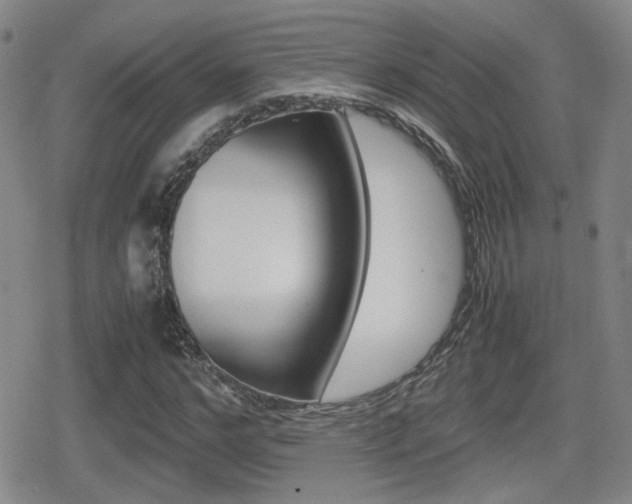 X0000080760968200612150930