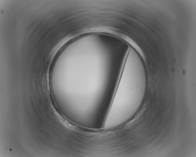 X0000080760988200612150929