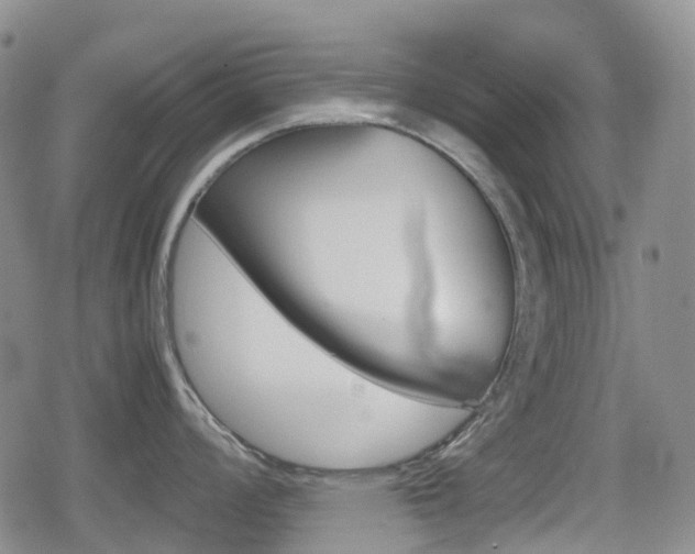 X0000080761008200612150929