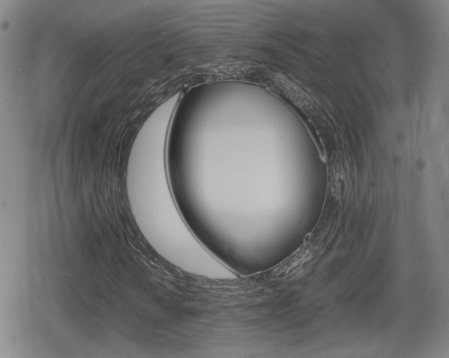 X0000080761010200612150928