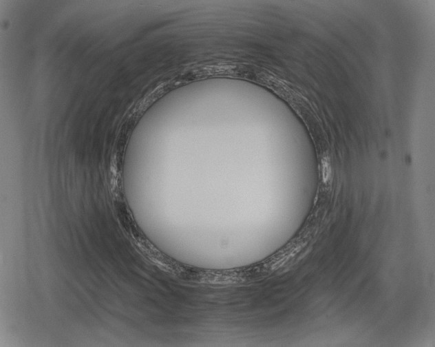 X0000080761011200612150928