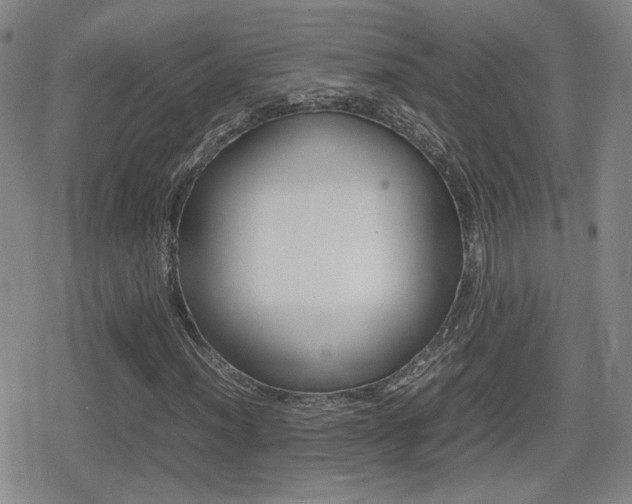 X0000080761012200612150928