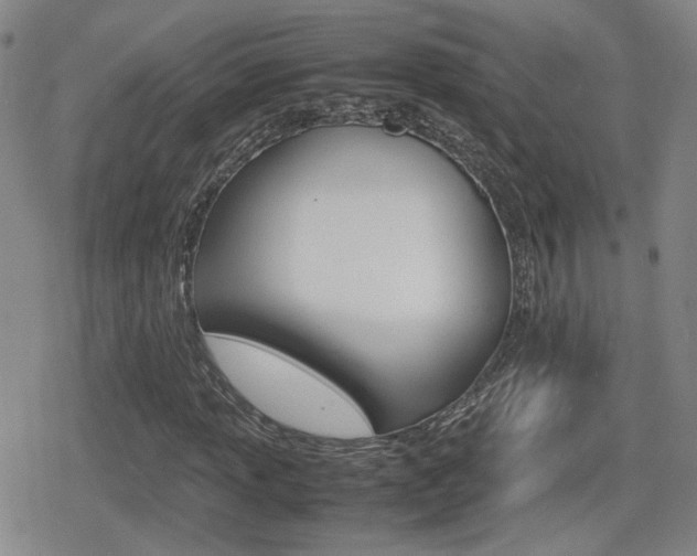 X0000080761013200612150928