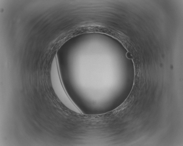 X0000080761014200612150928