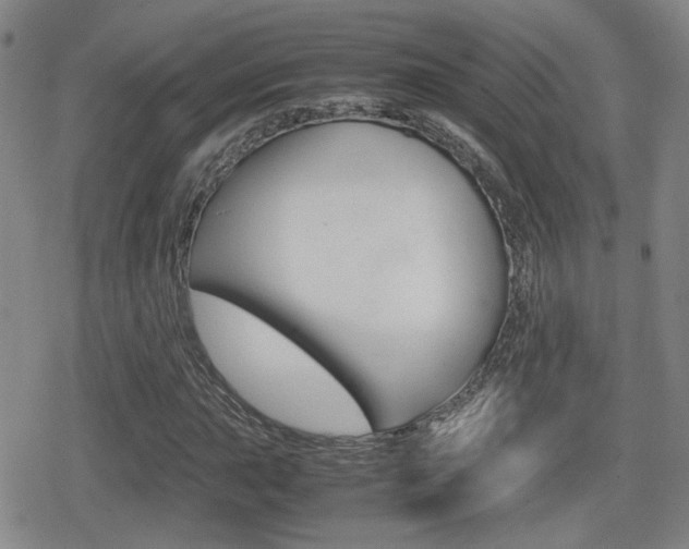 X0000080761015200612150928