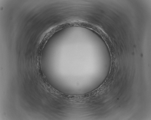 X0000080761016200612150928