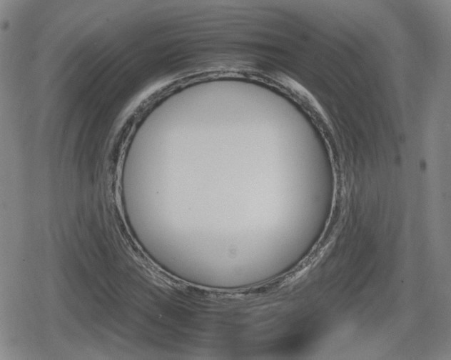 X0000080761019200612150928