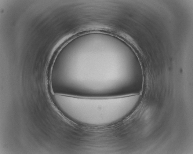 X0000080761024200612150928