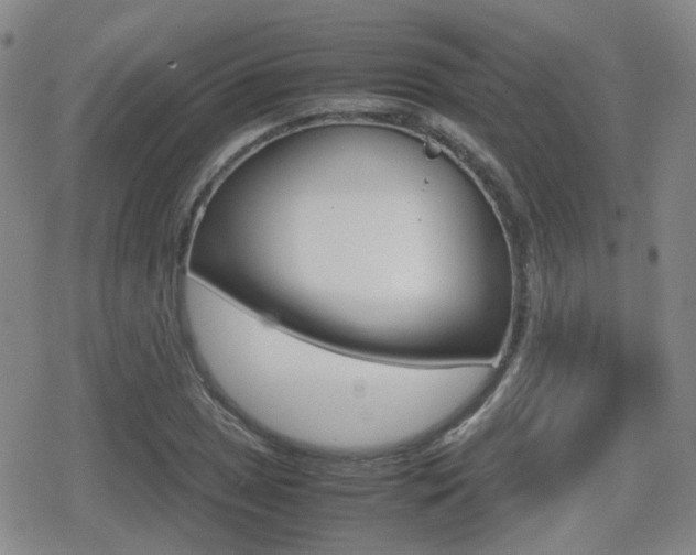 X0000080761025200612150928