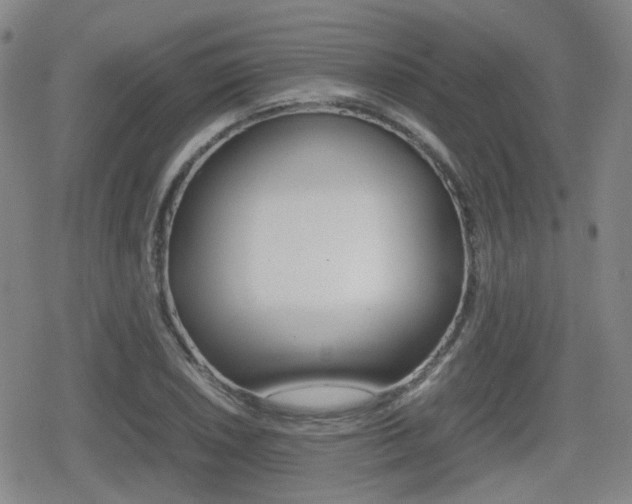X0000080761026200612150929