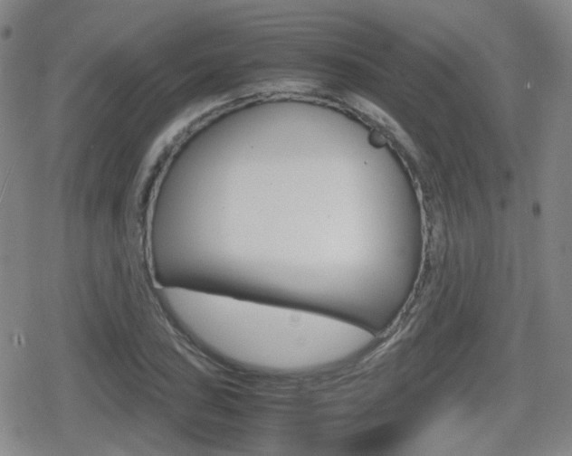 X0000080761027200612150929