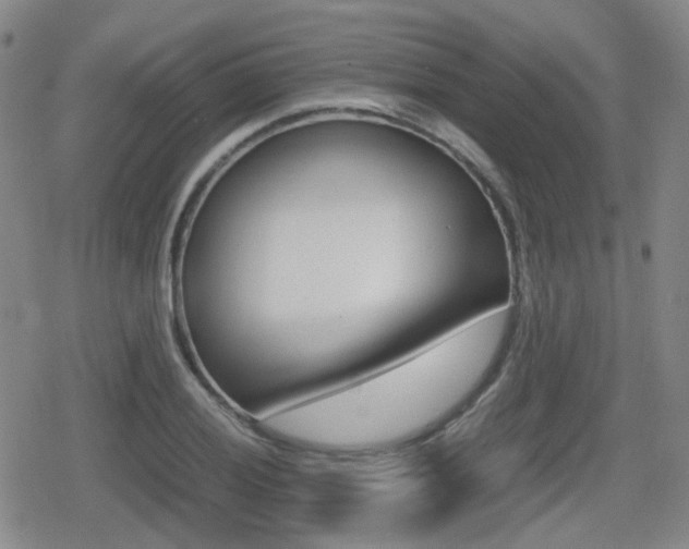 X0000080761028200612150929