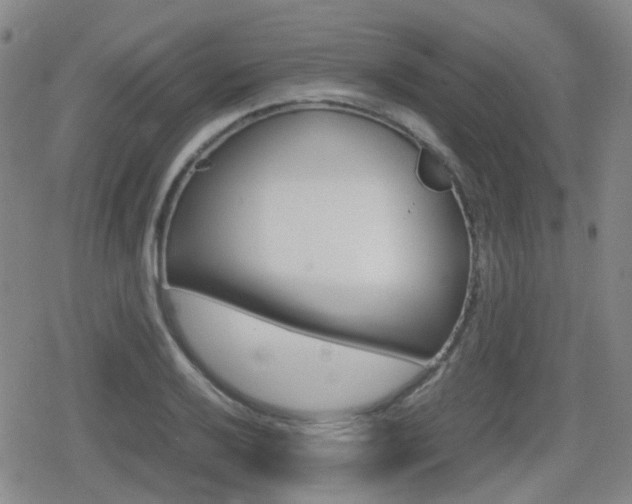 X0000080761032200612150929