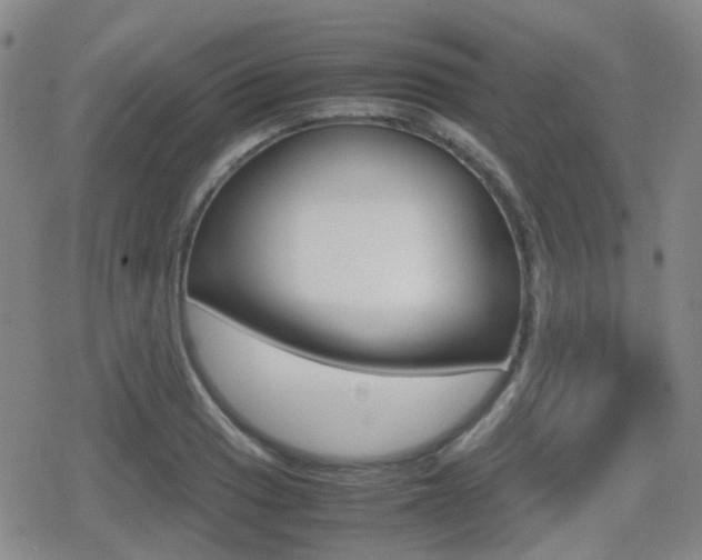 X0000080761033200612150929