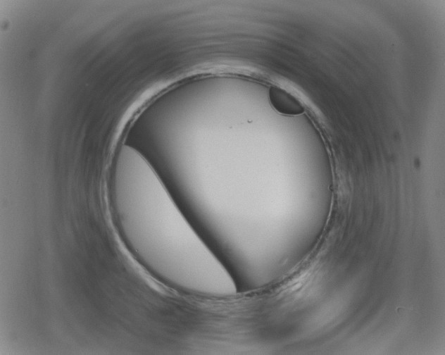X0000080761040200612150929