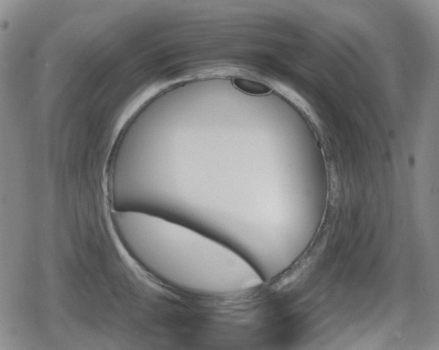 X0000080761047200612150929
