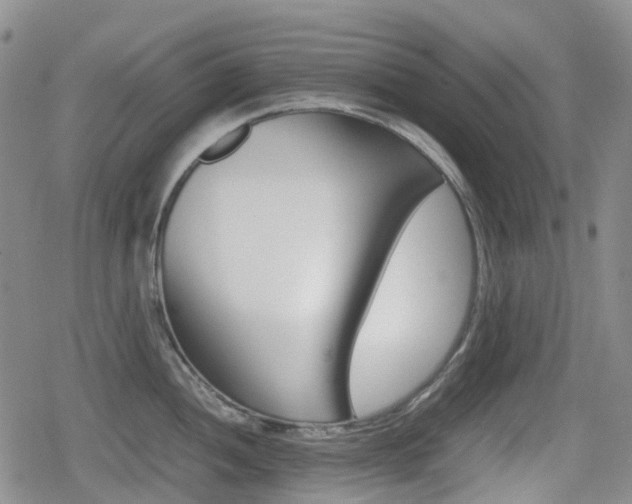 X0000080761052200612150929