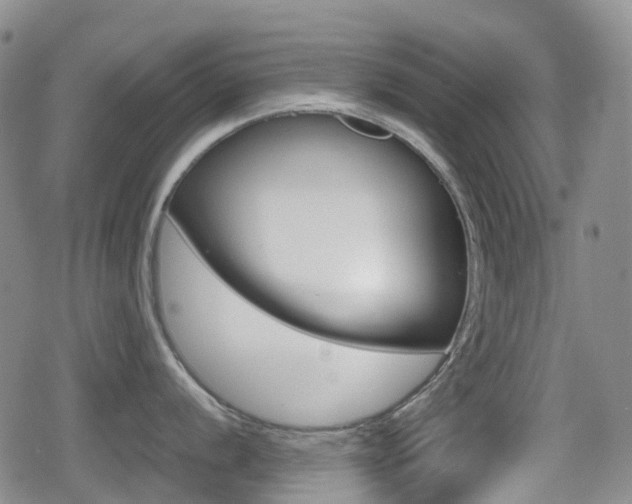 X0000080761056200612150929